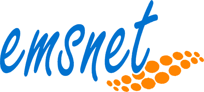 Logo-Emsnet GmbH